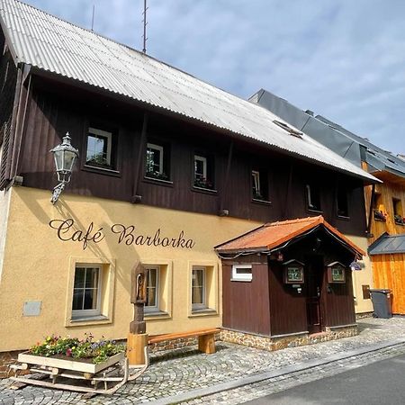 Pension Barborka Boží Dar Kültér fotó